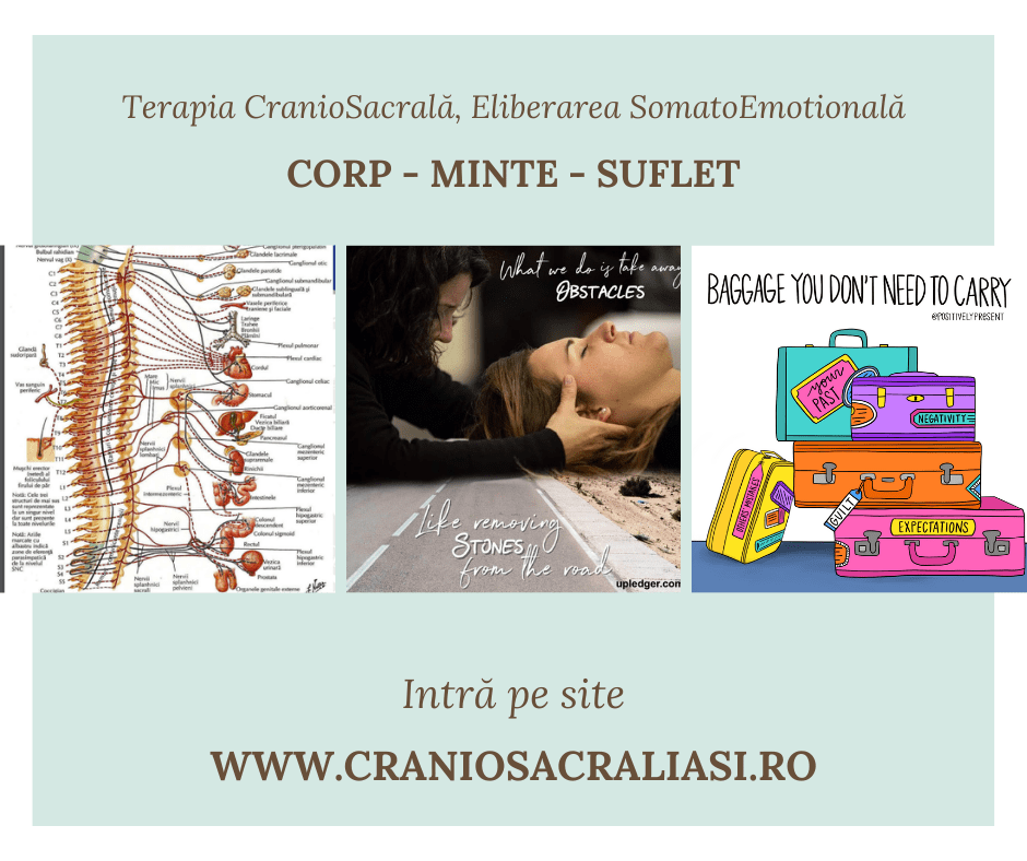 Terapie CranioSacrală - Adulți