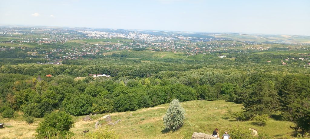 Se întâmplă, uneori, să ne pierdem în detalii. Să fim atât de absorbiți de grijile zilnice, de frici, de întrebări fără răspuns, încât nu mai reușim să vedem imaginea de ansamblu. Așa cum, într-o pădure deasă, copacii ne pot împiedica să vedem direcția în care mergem.