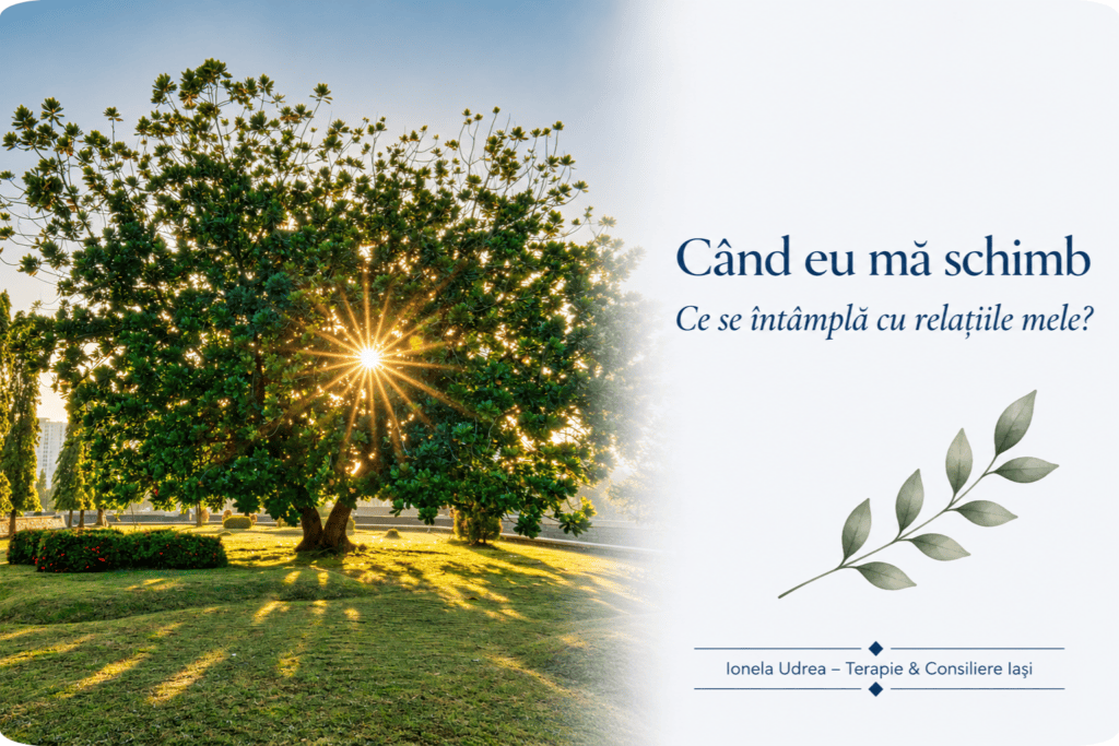 Copac matur luminat de soare – schimbare și relații